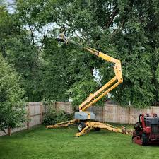 Best Tree Health Inspection  in Watertown, TN